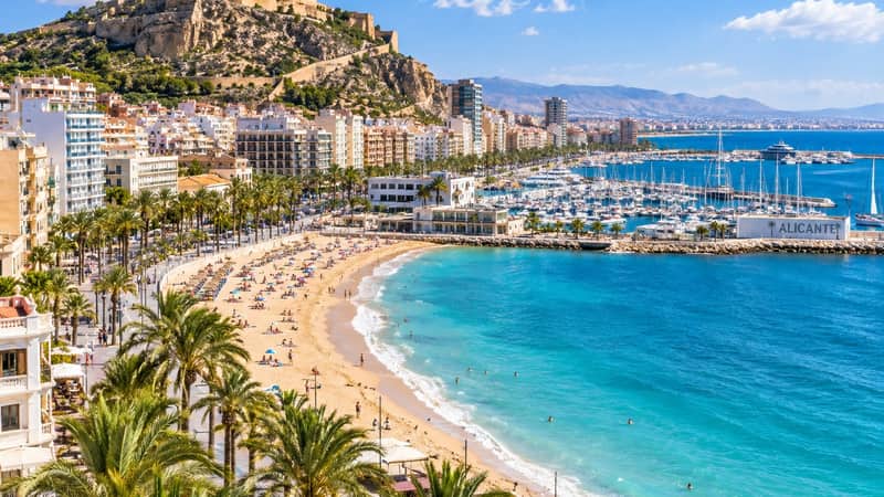 Alicante seen from above the Postiguet: the beach and palm-lined promenade, the marina, and Santa Bárbara castle on Mount Benacantil.